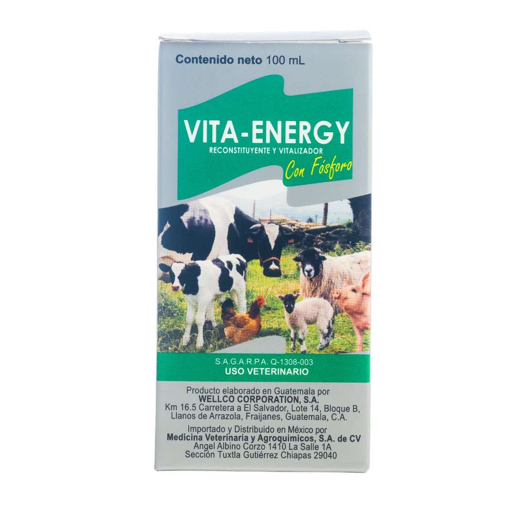 Vita-Energy