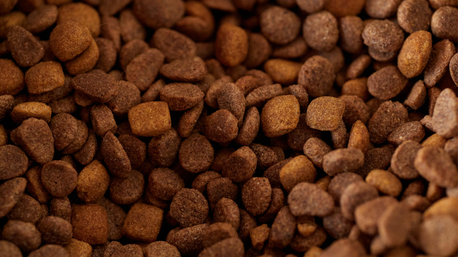 Alimentos para mascotas