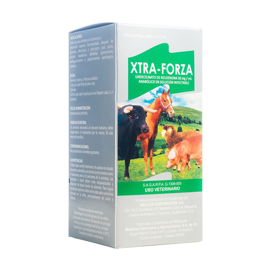Xtra-Forza