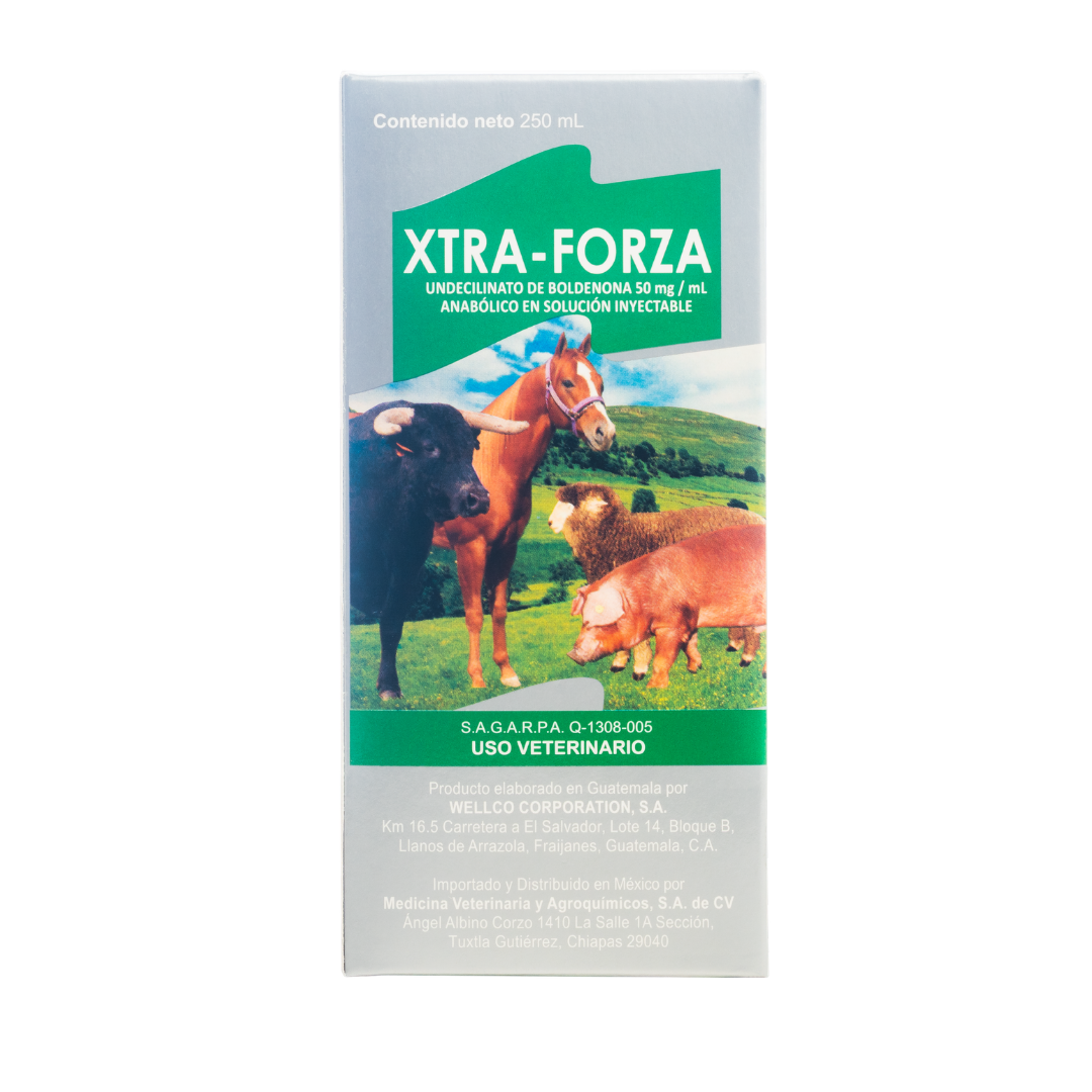 Xtra-Forza