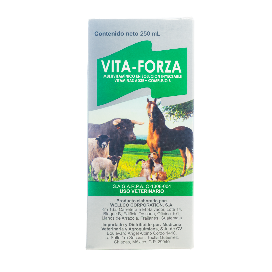 Vita-Forza