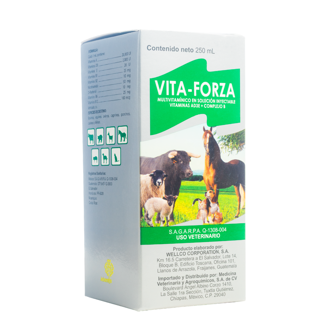 Vita-Forza