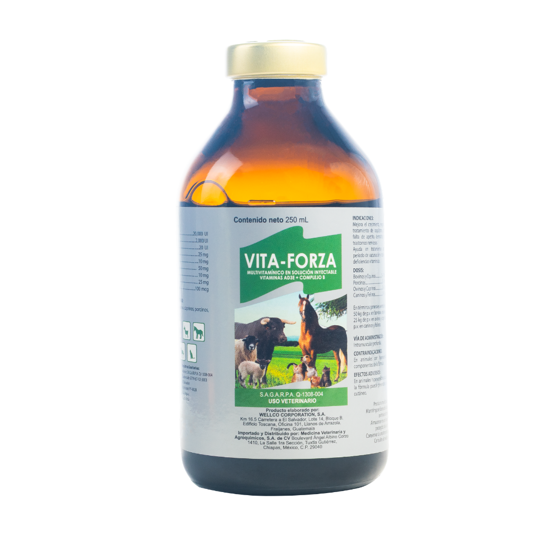 Vita-Forza