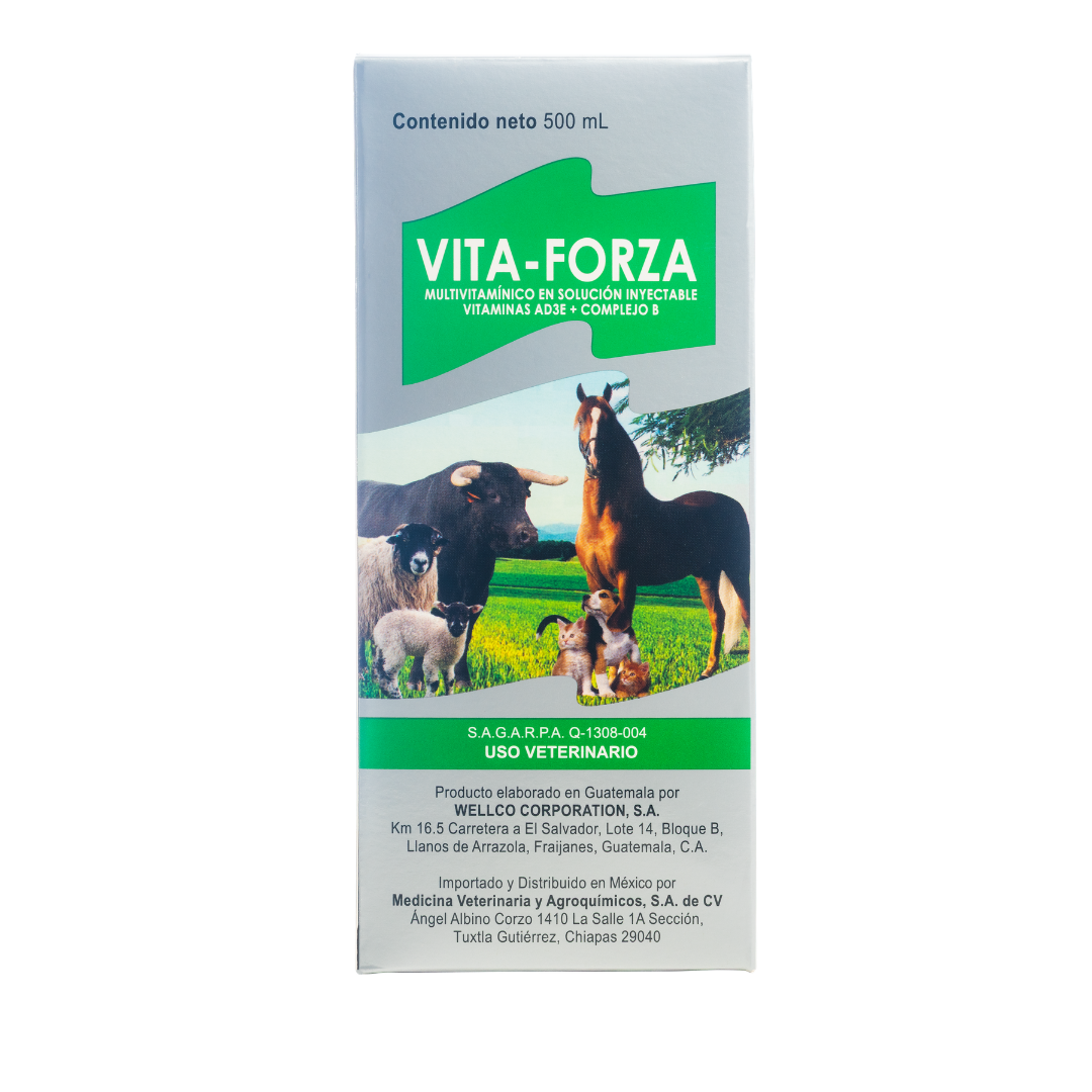 Vita-Forza