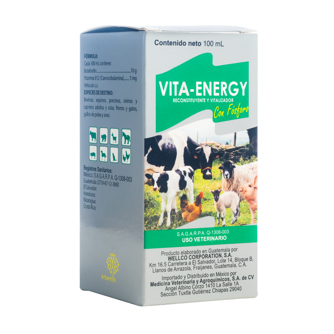 Vita-Energy