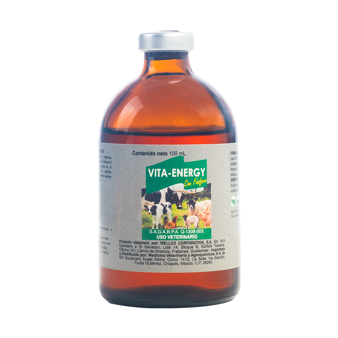Vita-Energy