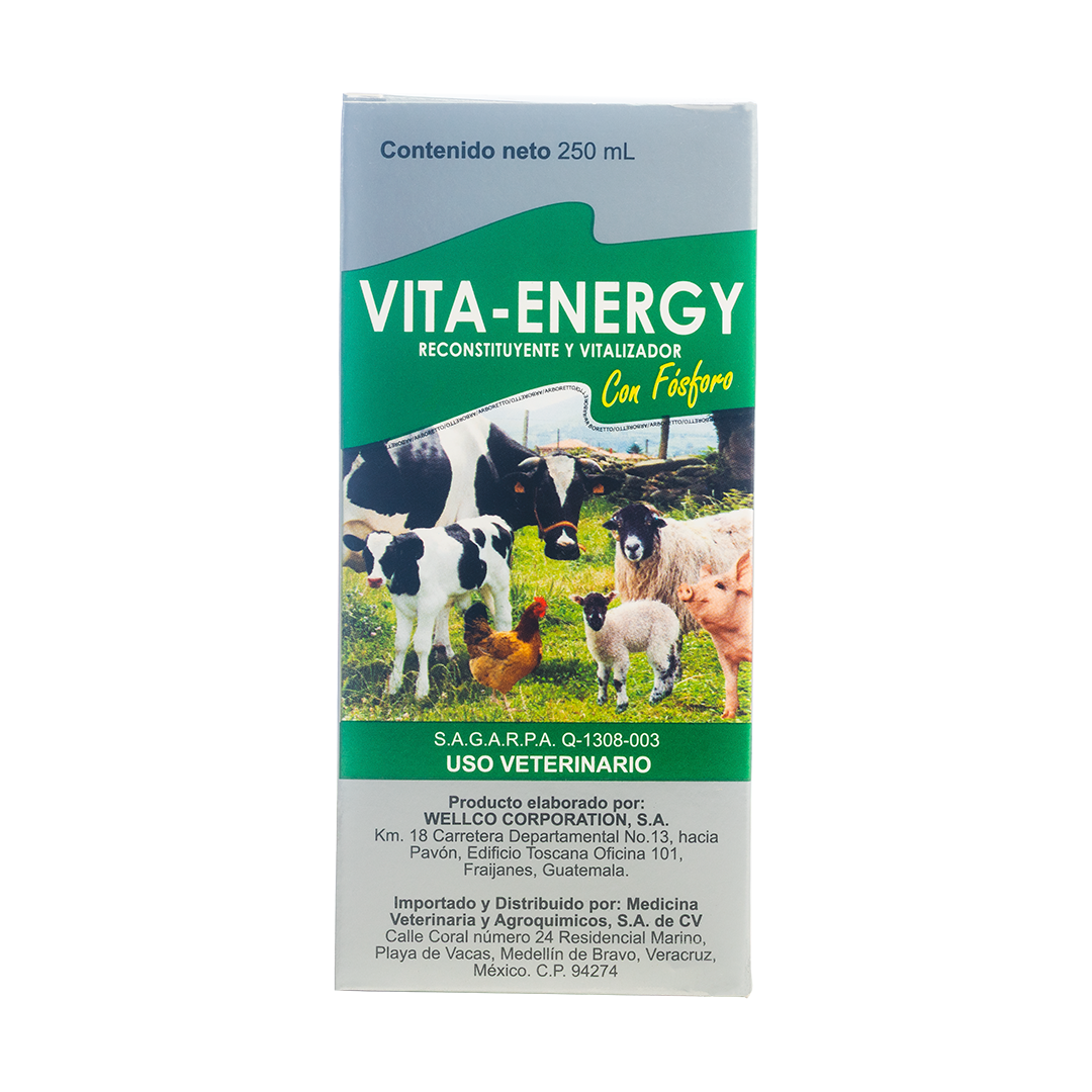 Vita-Energy