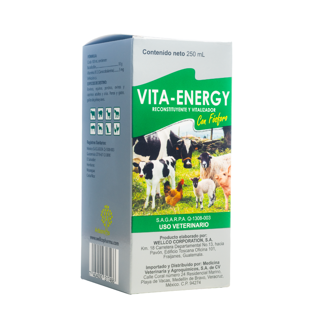 Vita-Energy