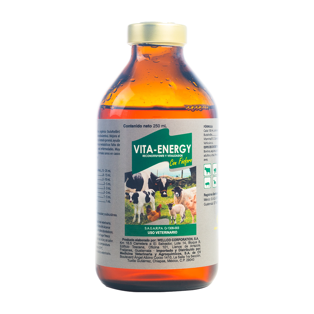 Vita-Energy