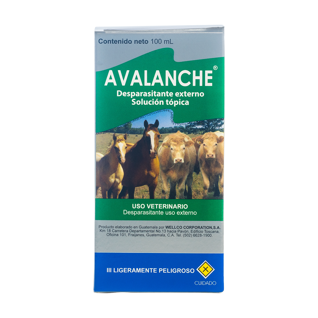 Avalanche
