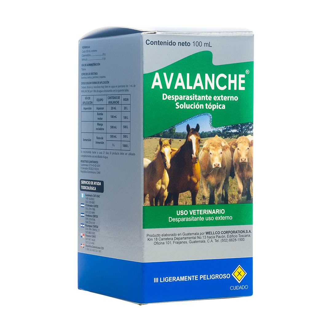 Avalanche
