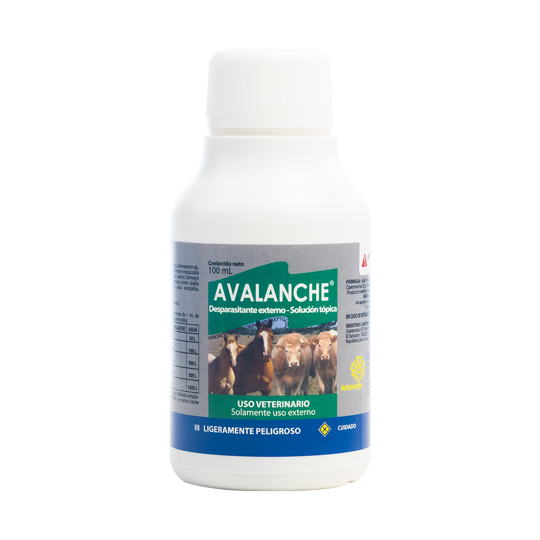 Avalanche