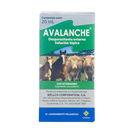 Avalanche