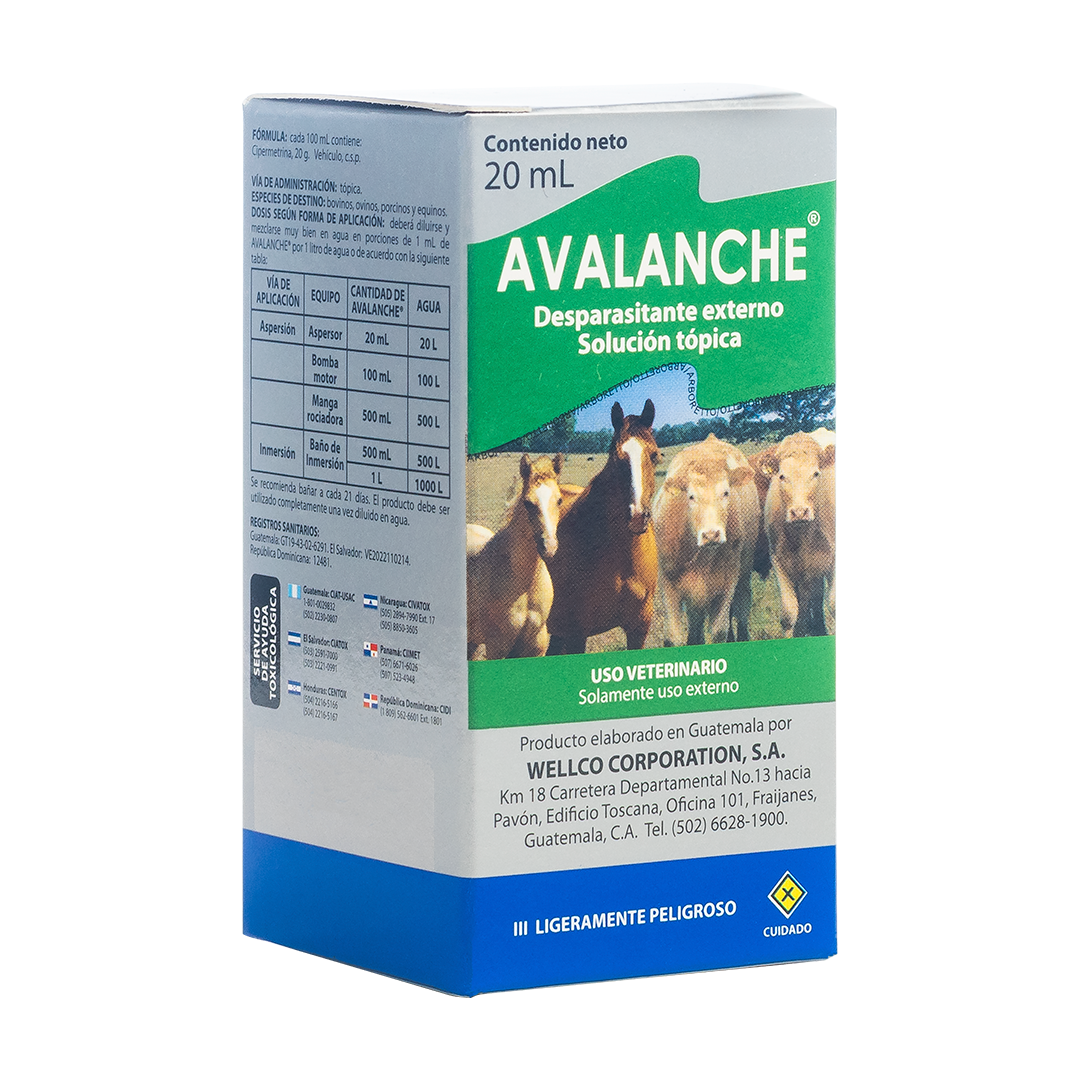 Avalanche