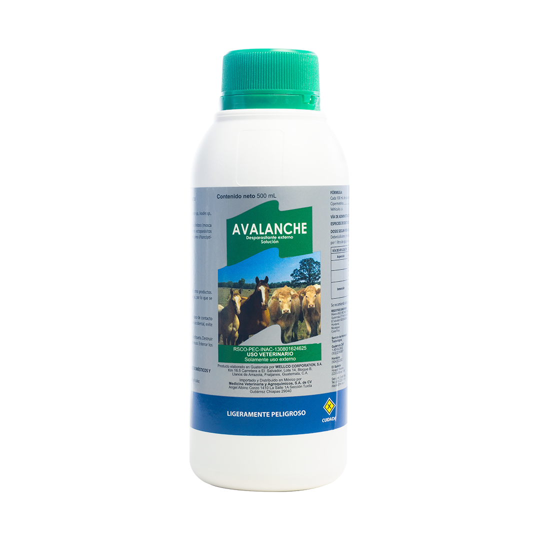 Avalanche
