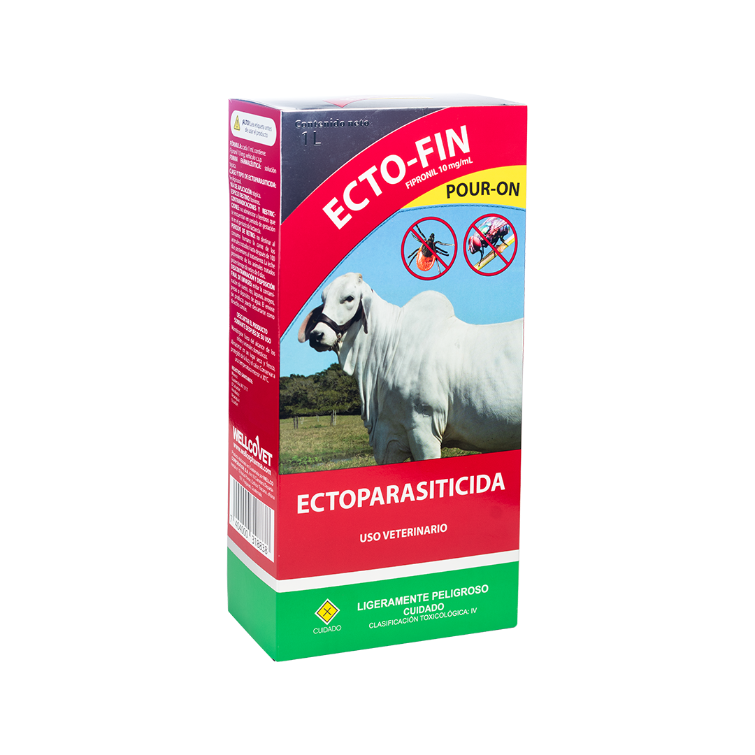 Ecto-Fin