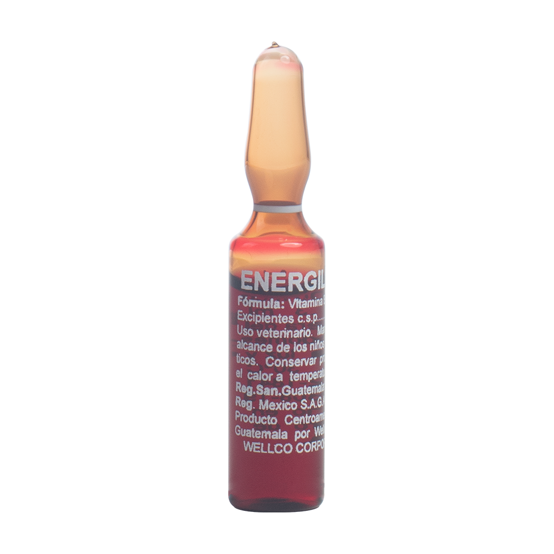 Energil