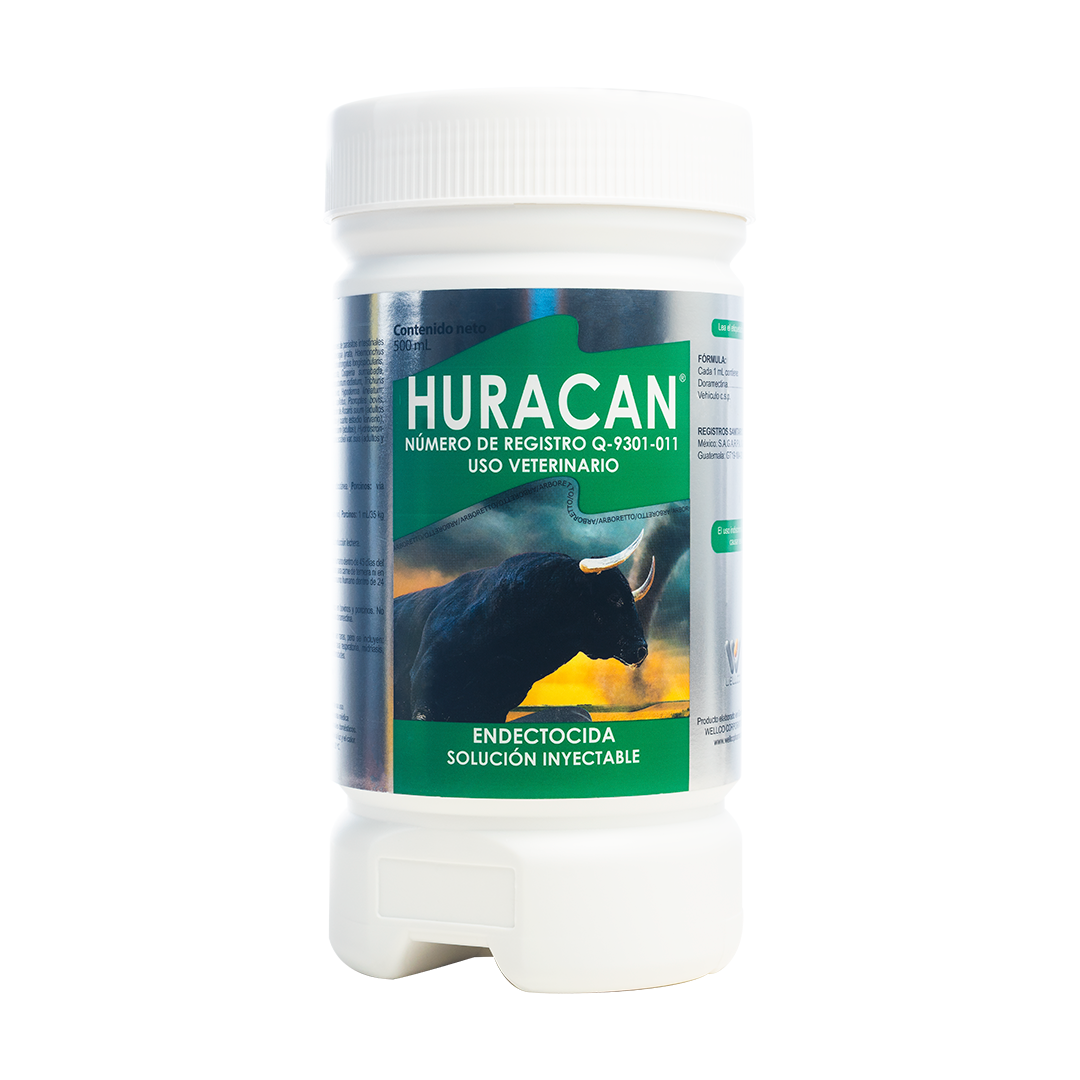 Huracán