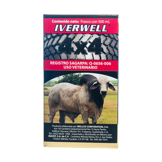 Iverwell 4x4