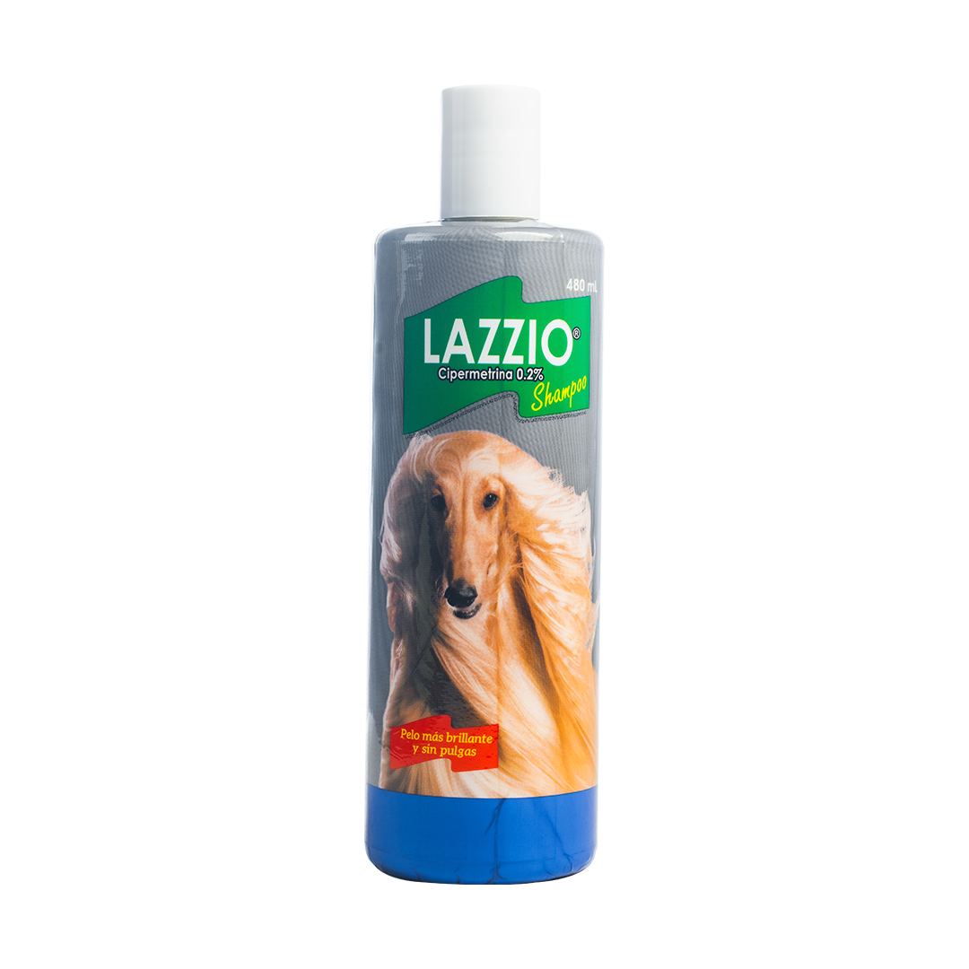 Lazzio Shampoo