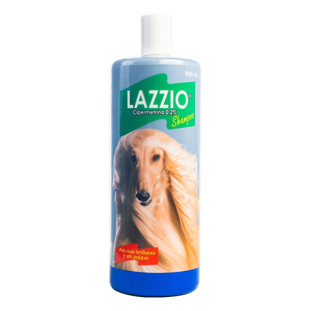 Lazzio Shampoo