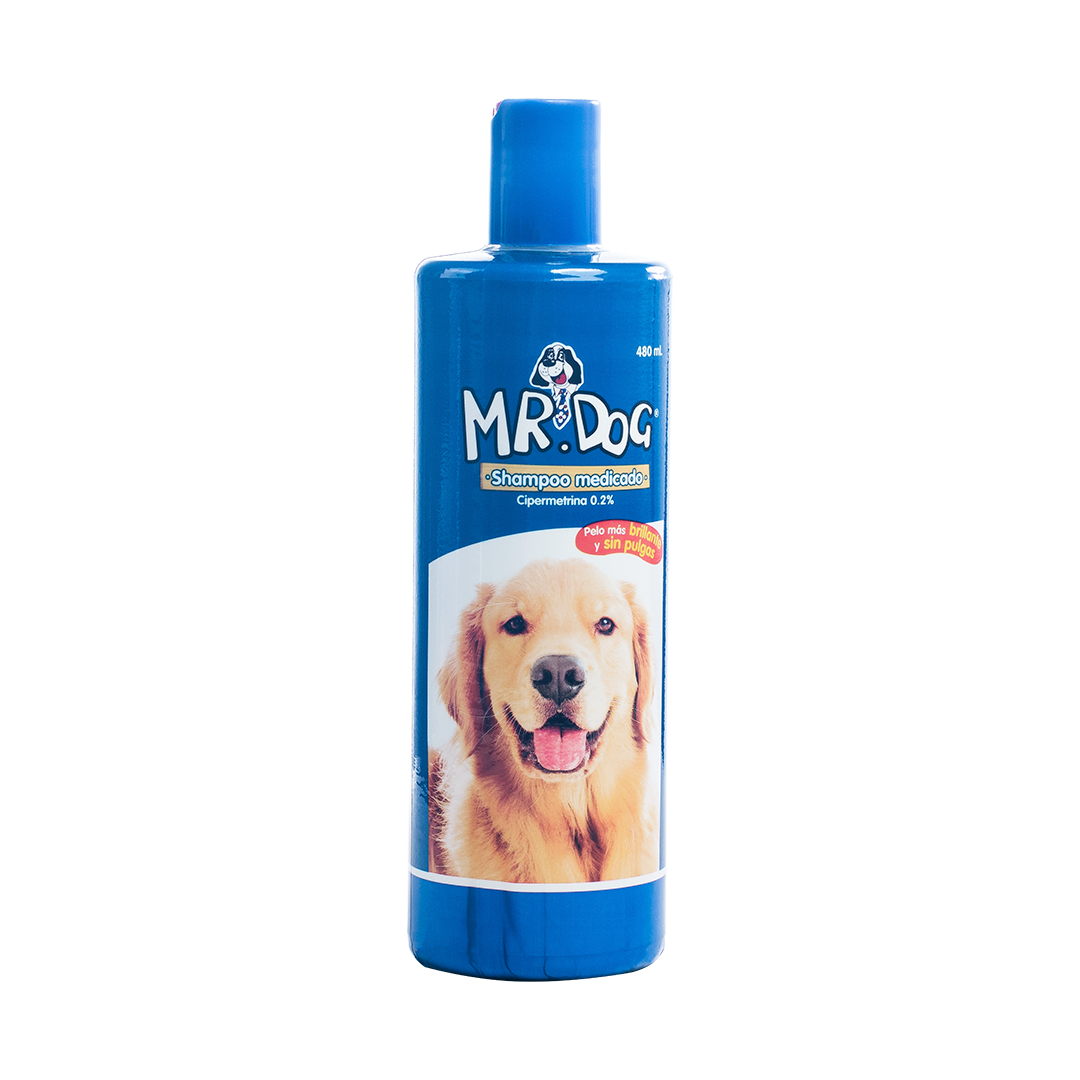 Mr.Dog Pack