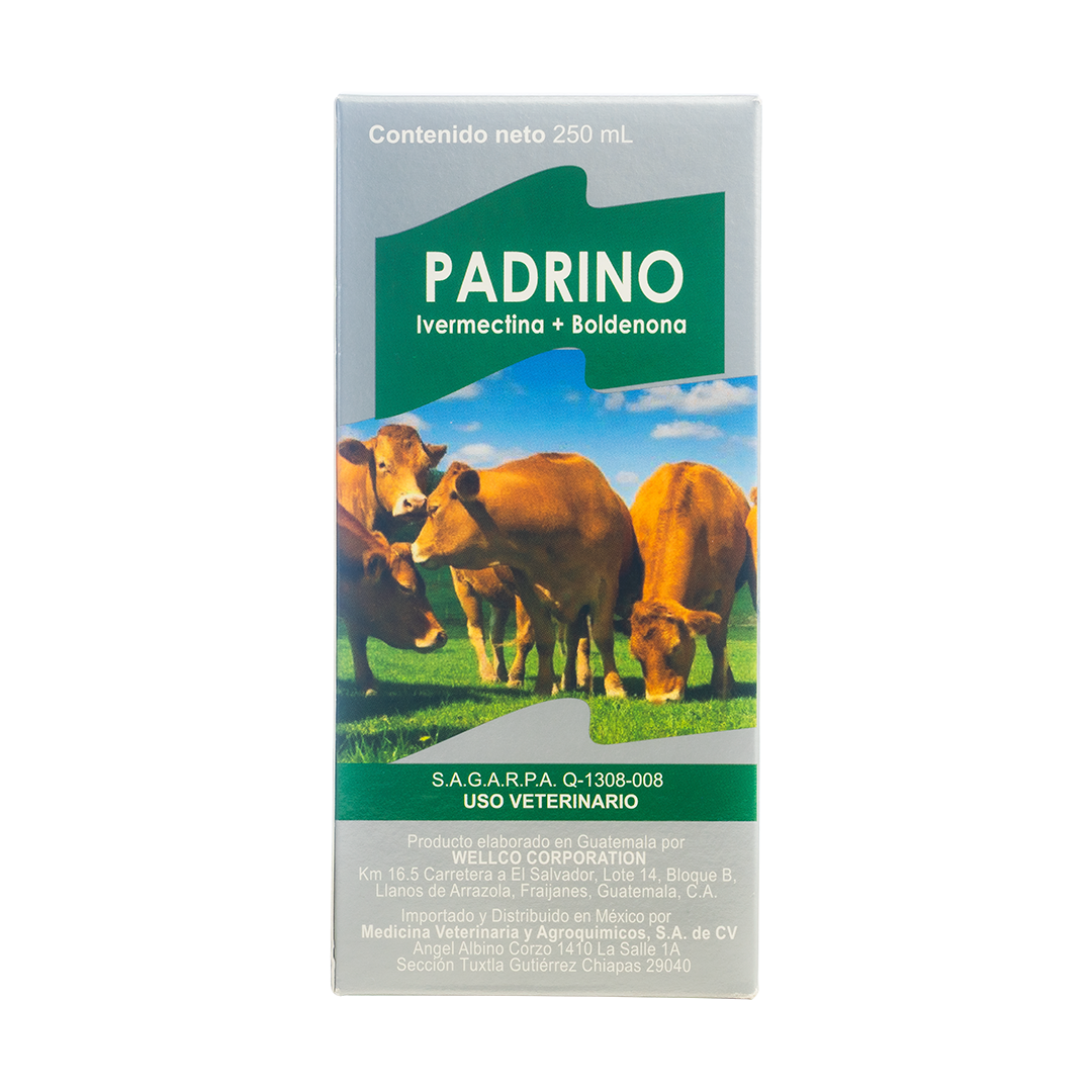 Padrino
