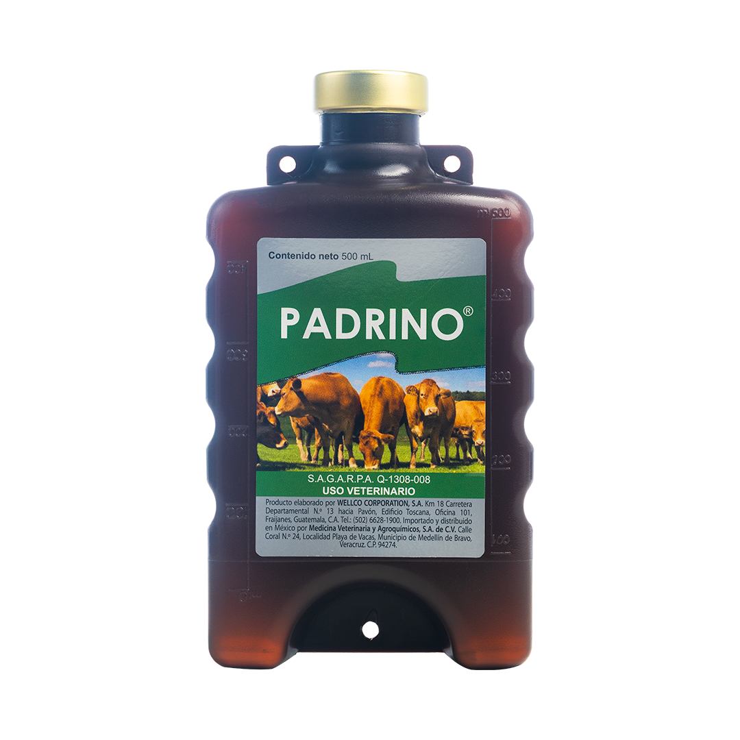 Padrino