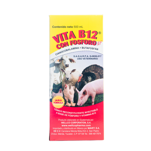 Vita B12 Con Fósforo