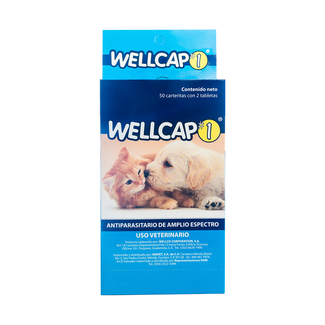 Wellcap #1