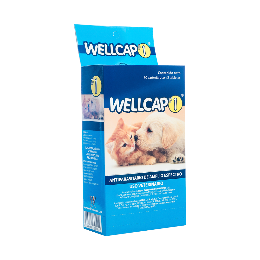 Wellcap #1