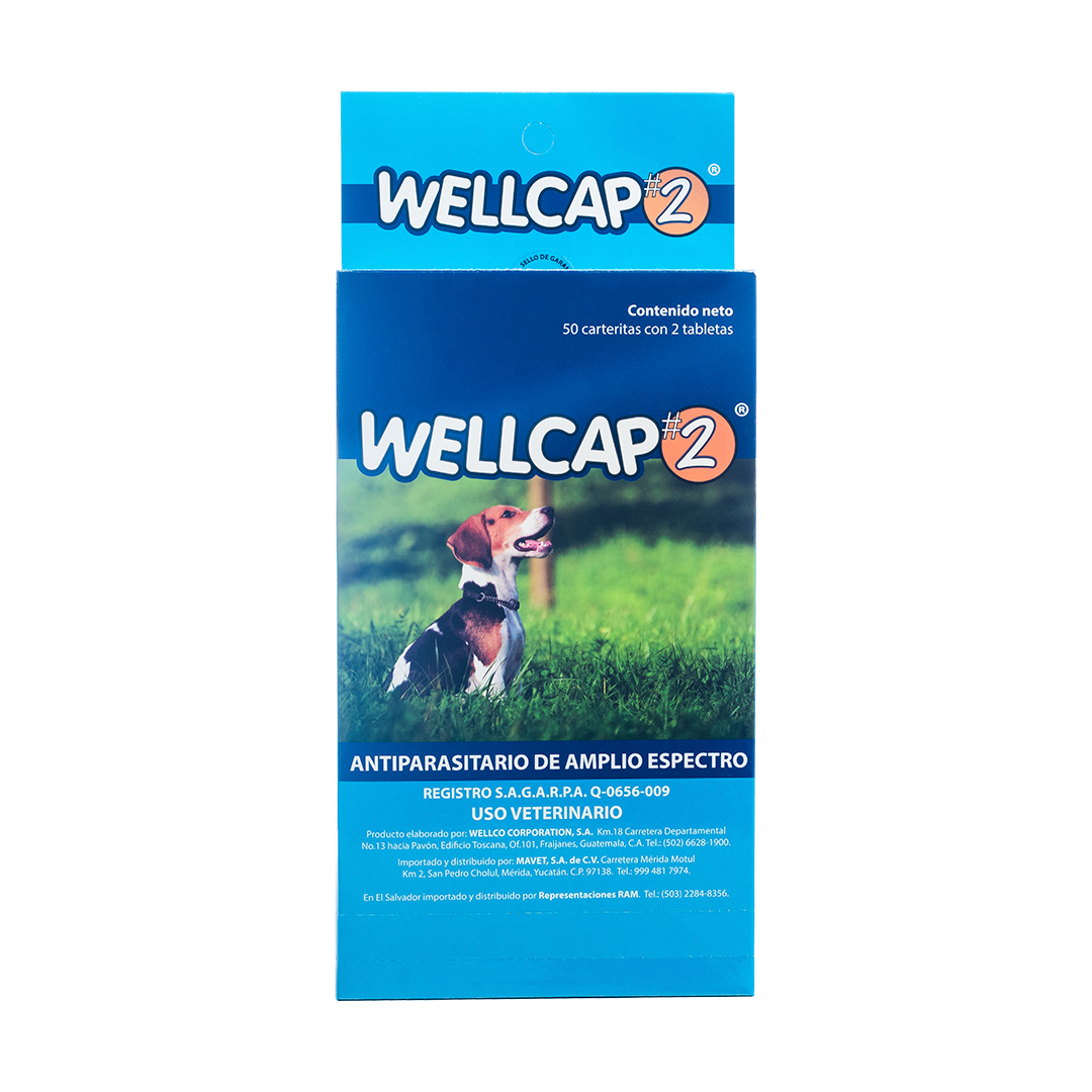 Wellcap #2