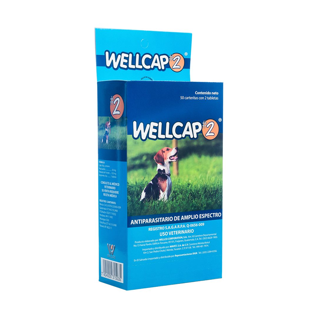 Wellcap #2