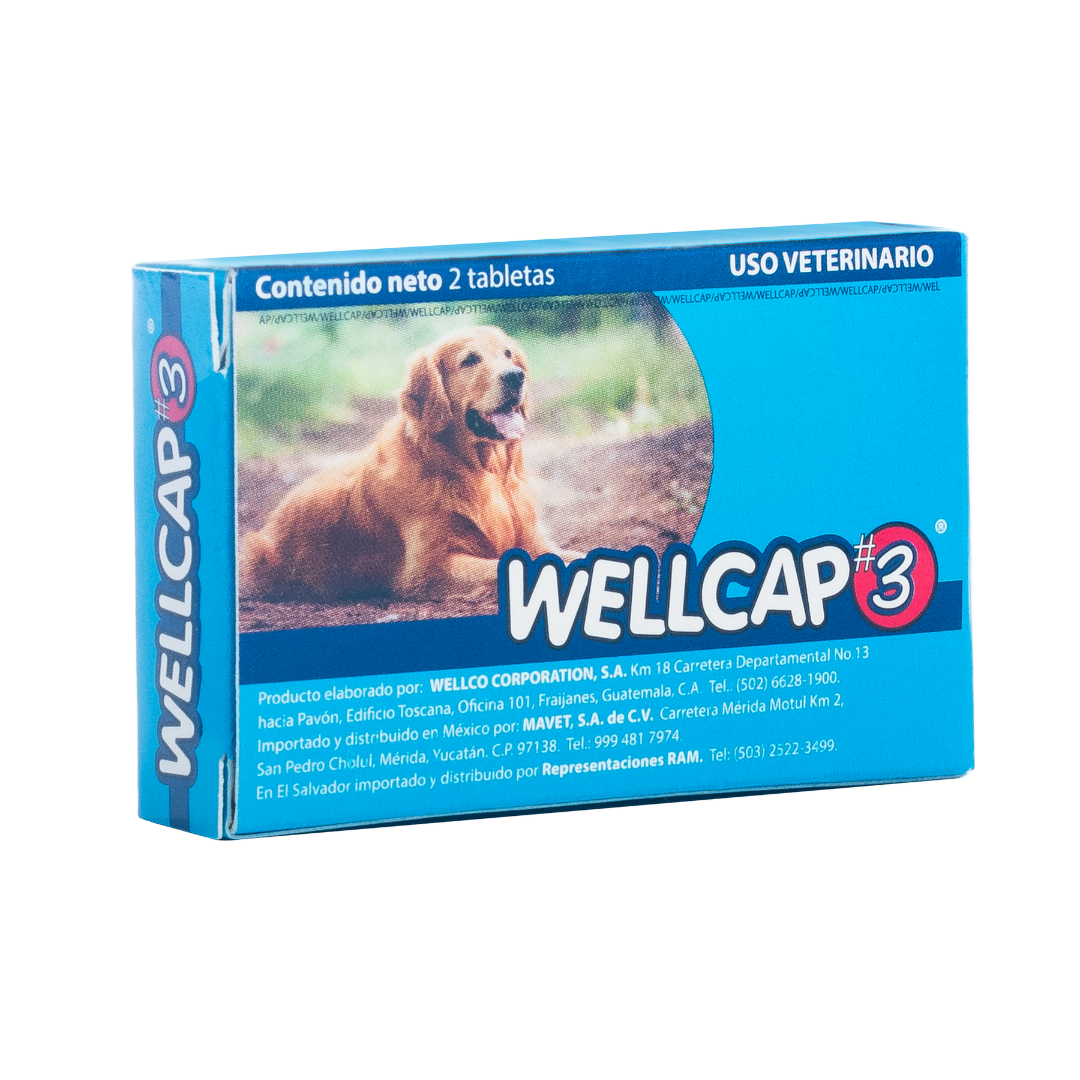 Wellcap #3